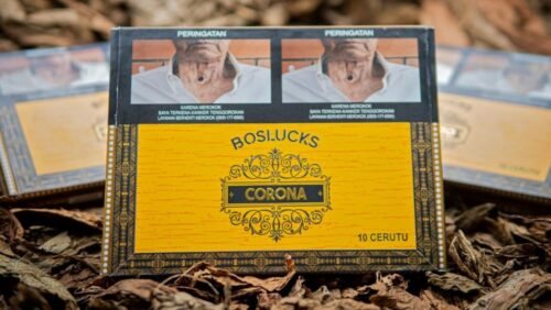 boslucks 10 corona