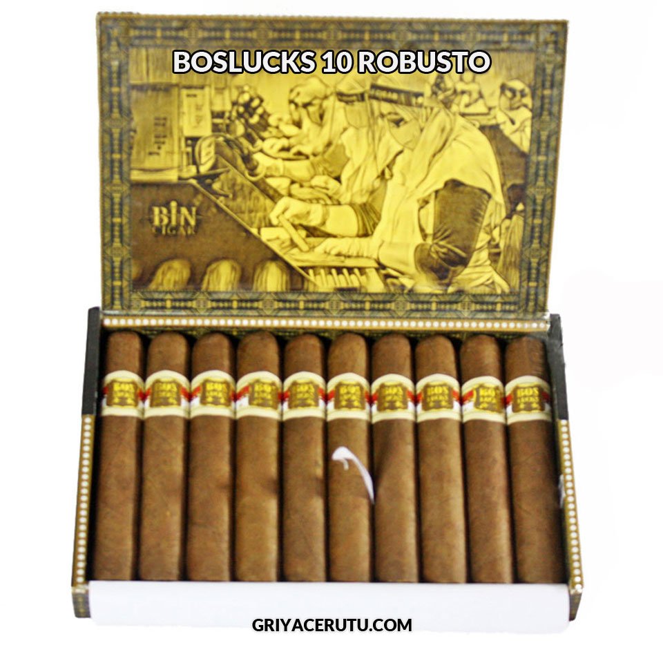 BOSLUCKS 10 ROBUSTO