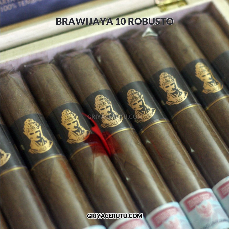 brawijaya 10 robusto