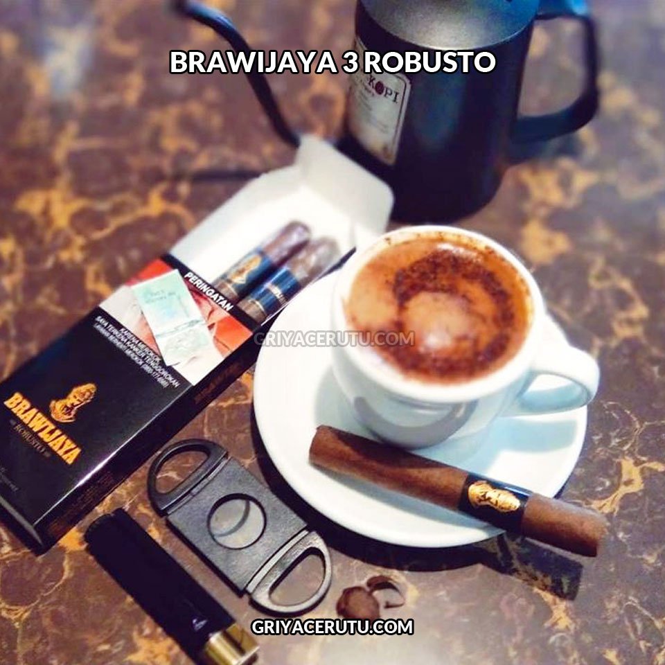 brawijaya 3 robusto