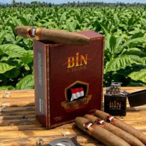 BIN Jember cigars, box, lighter in tobacco field.