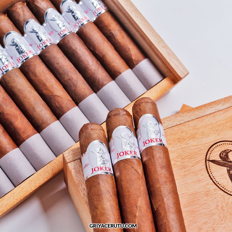 JOKER 10 ROBUSTO - Image 2