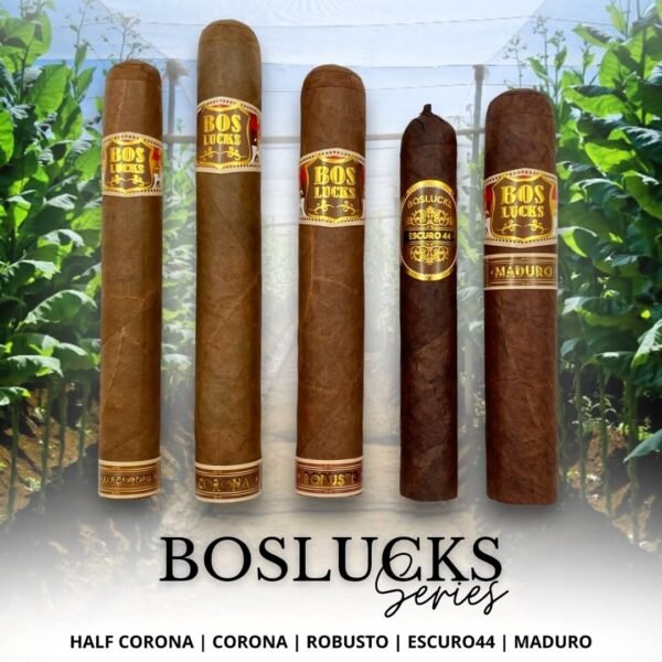 boslucks 5 series