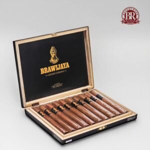 brawijaya 10 grand corona