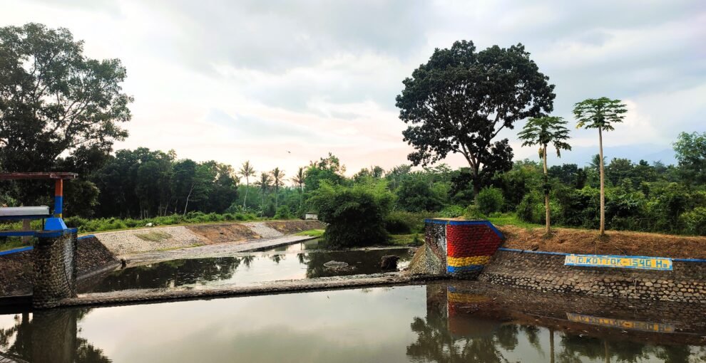 Menikmati Cerutu: Cara Sederhana Melepas Penat di Alam Terbuka