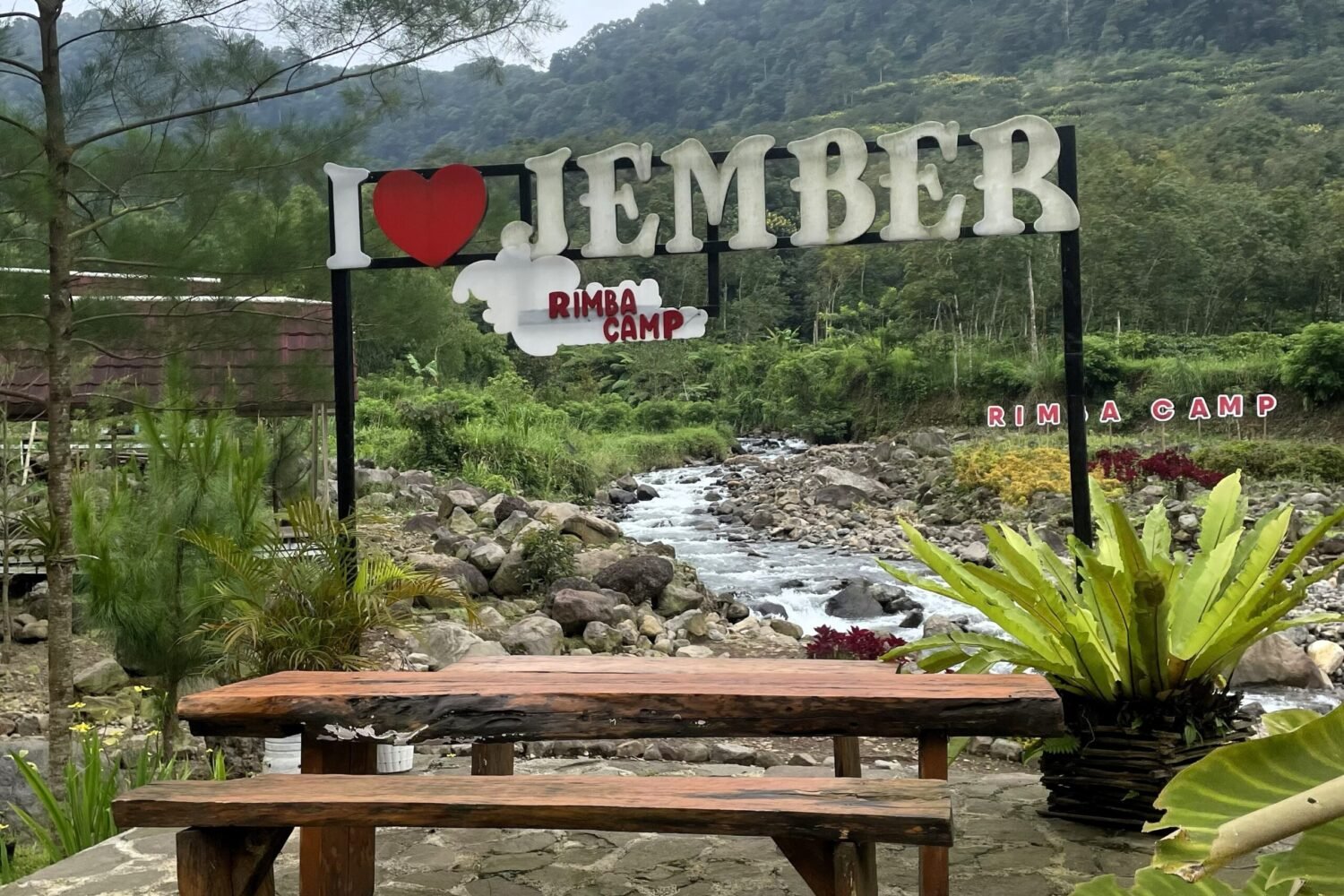 cerita pelan tentang cerutu, kopi, dan hidup secukupnya