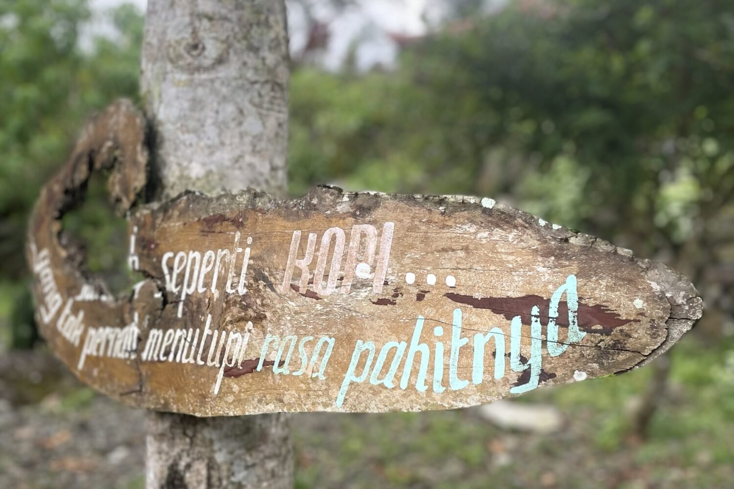 cerita pelan tentang cerutu, kopi, dan hidup secukupnya