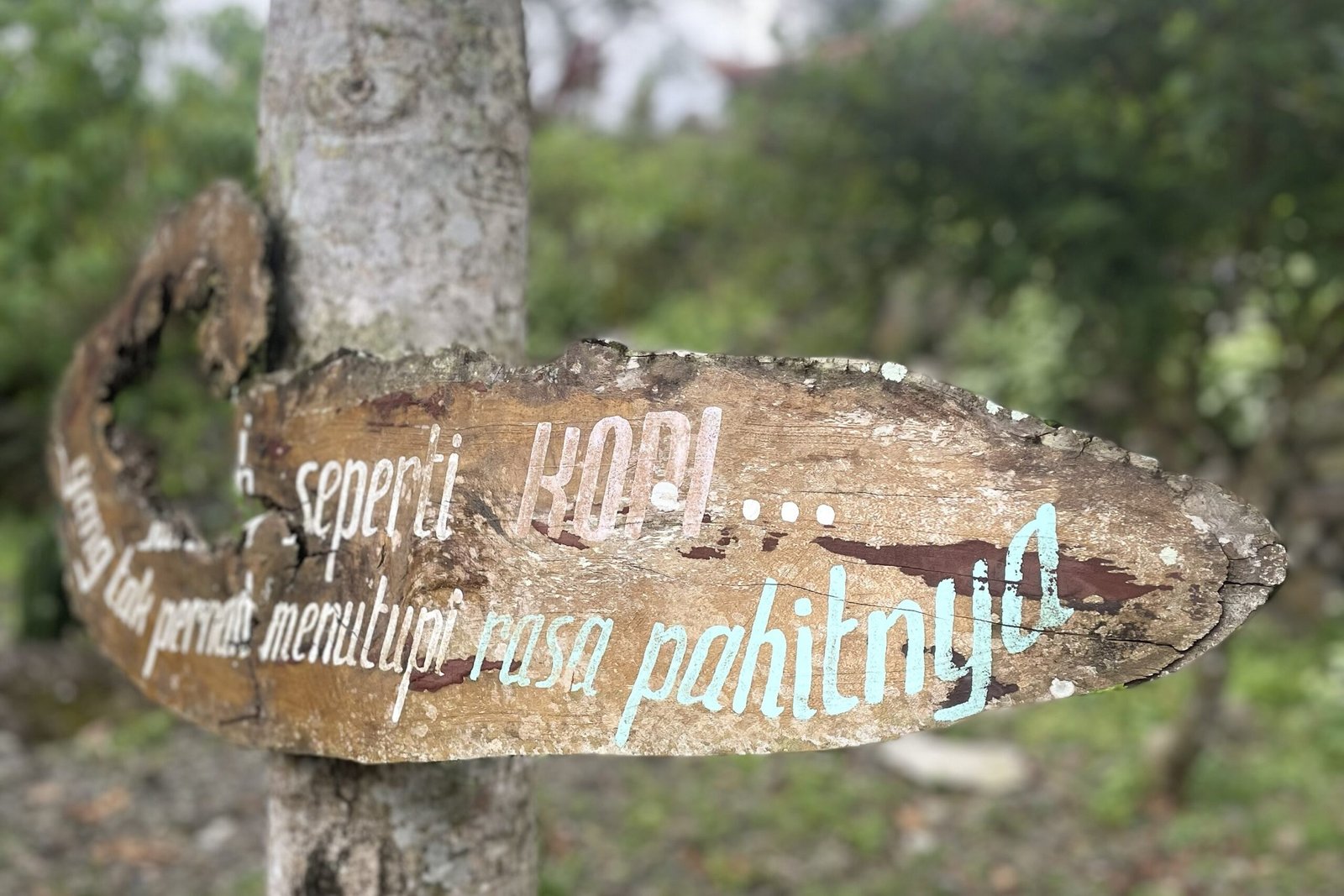 Cara Memadukan Cerutu dan Kopi: Seni Menikmati Dua Dunia dalam Satu Momen