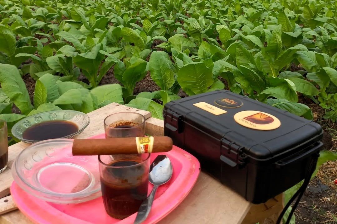 robusto and coffee