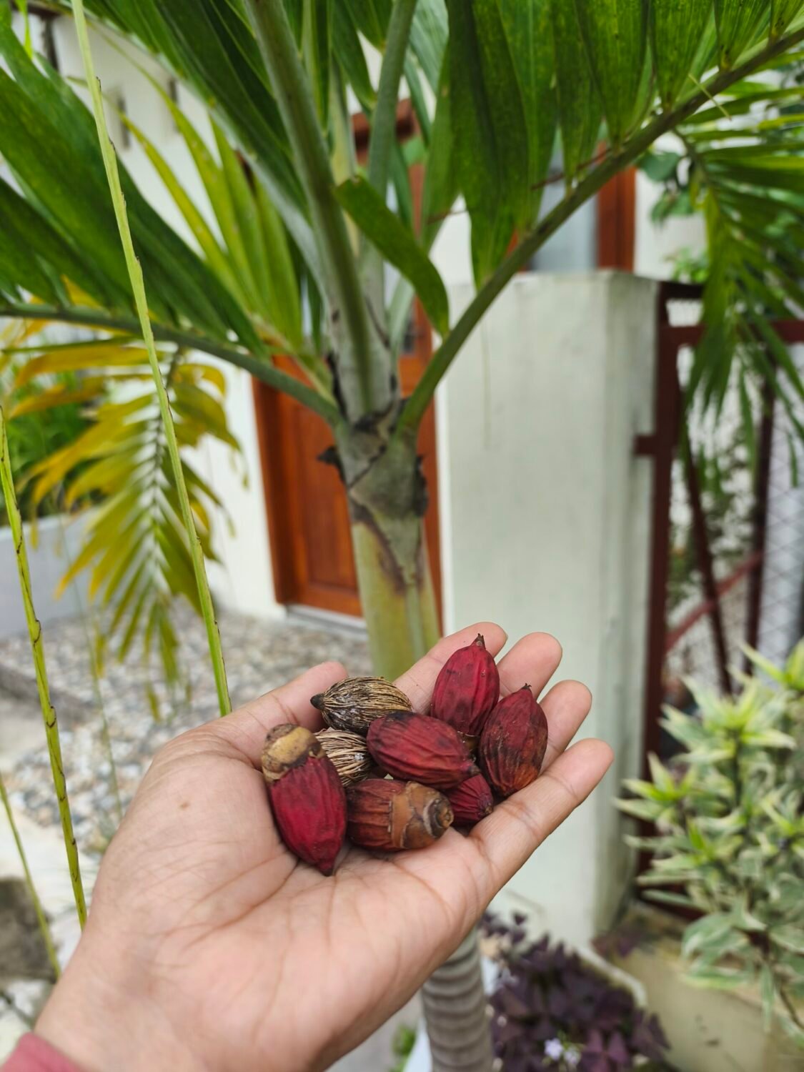 menanam waktu luang, menumbuhkan kehidupan baru