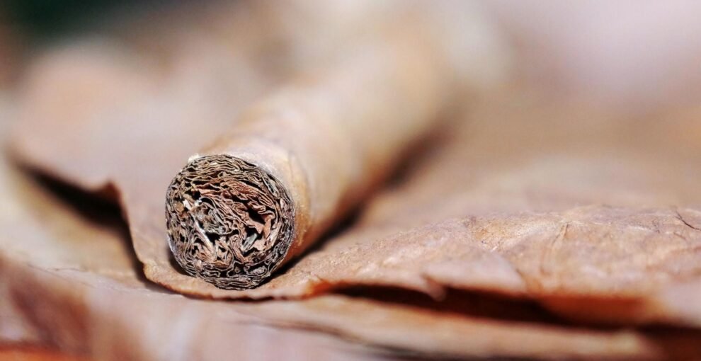 Cigar Anatomy: Most Smokers Don’t Know This