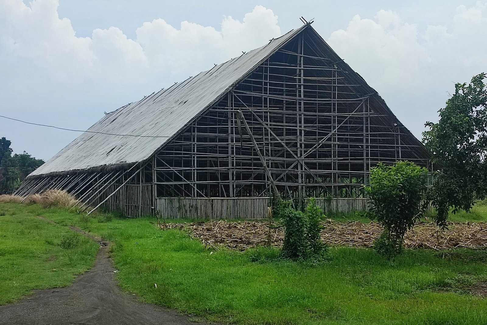 Dari Kebun ke Tobacco Barn: Menyaksikan Aktivitas Nyujen Daun Tembakau