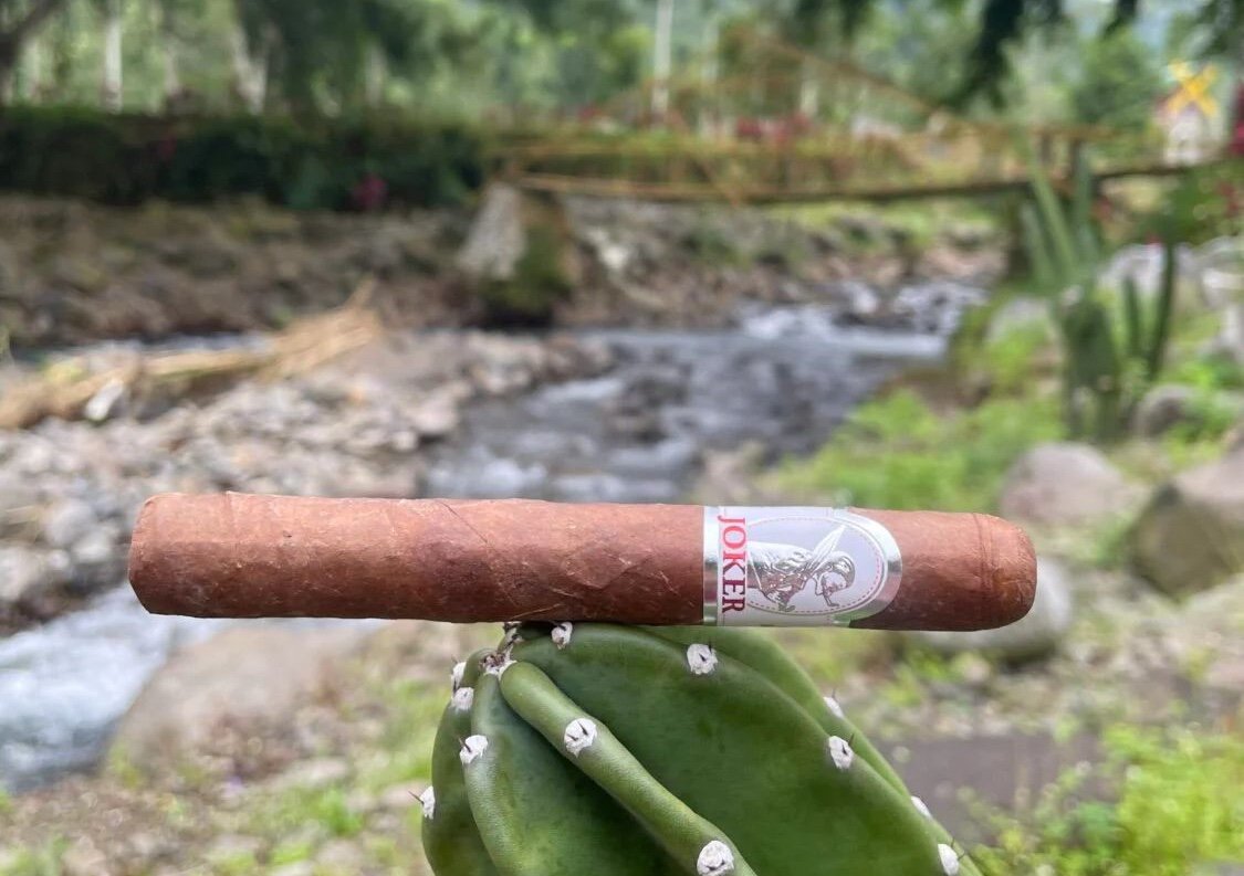 A Joker cigar balanced on a cactus near a stream.