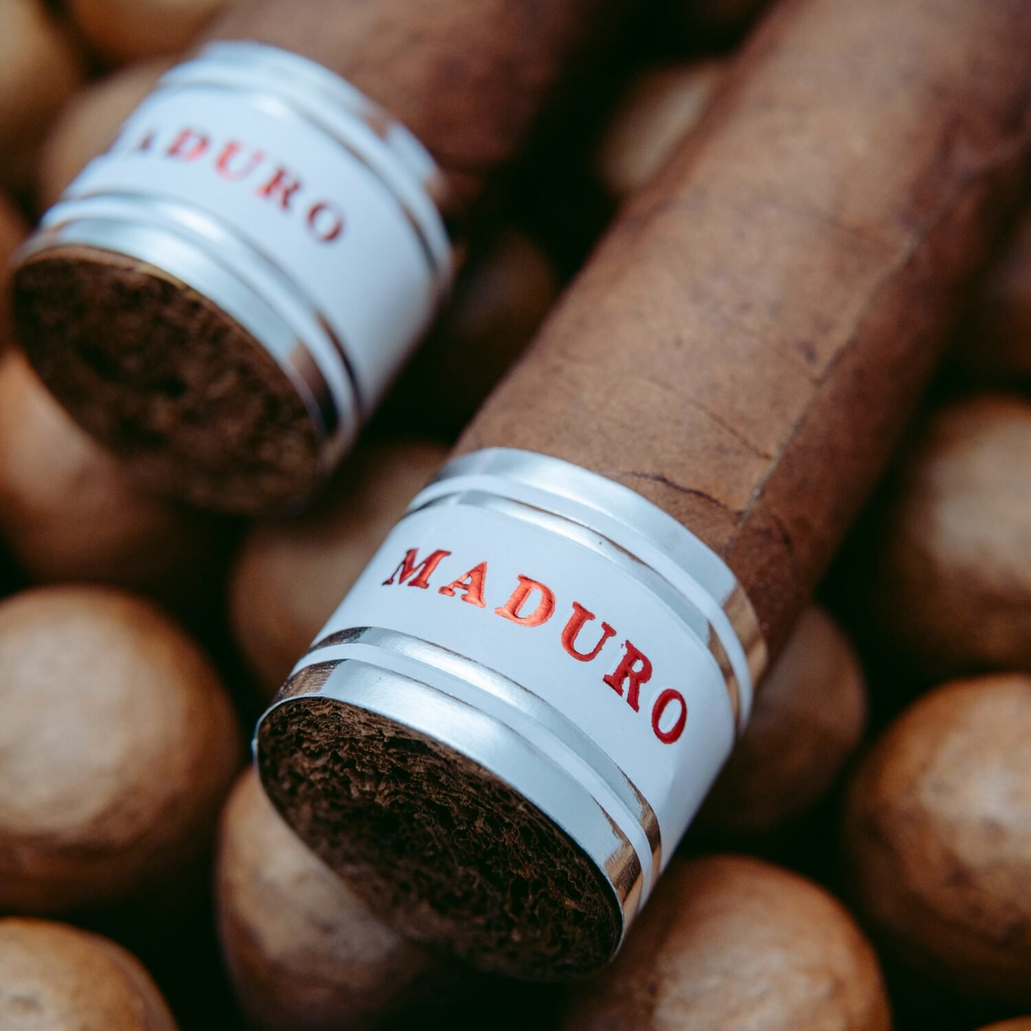 Two Maduro cigars on a bed of tobacco leaves.